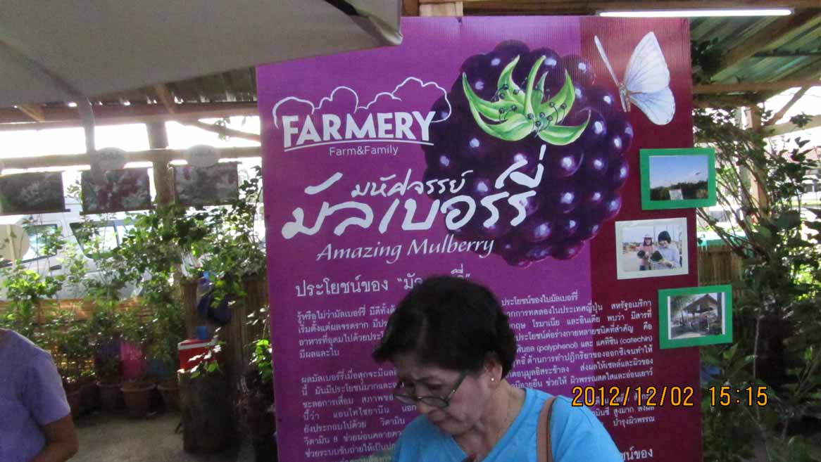 Kamnan_Chul 05.JPG 107.6K